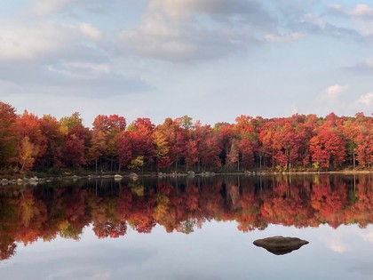 Adirondack camps for sale NY