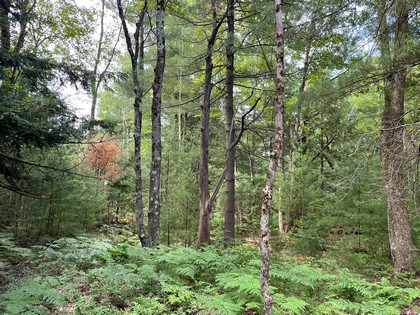 Building lot for home site or camp site in Vienna, NY