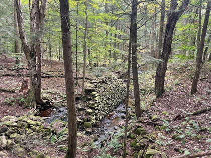 NY land sale near Oneida Lake