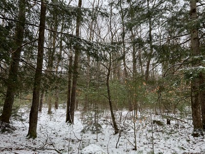 NY land for sale near Oneida Lake NY