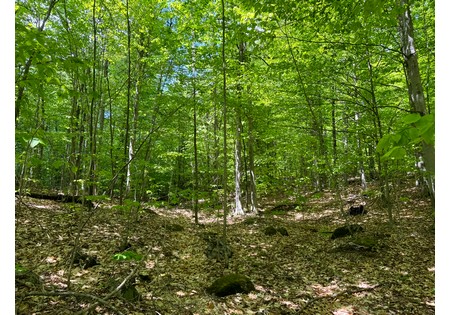 Adirondack land for sale