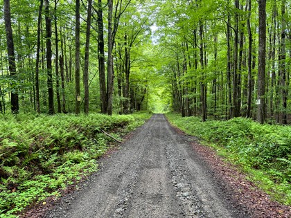 NY hunting land for sale