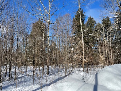 NY land for sale Diana NY