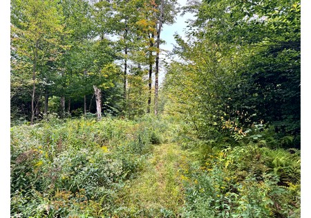NY land for sale