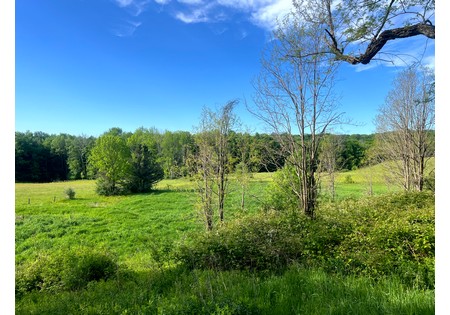 NY southern tier hunting land for sale