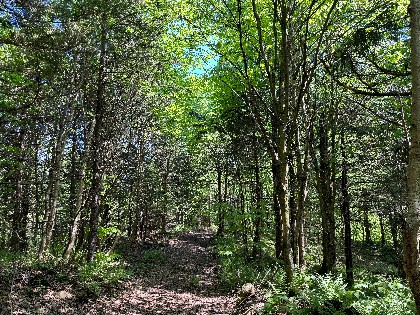NY hunting land for sale