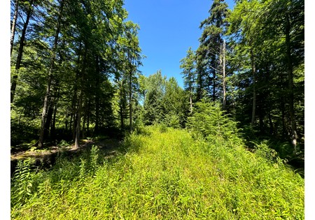 NY hunting land for sale