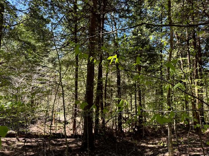 NY land and camps for sale