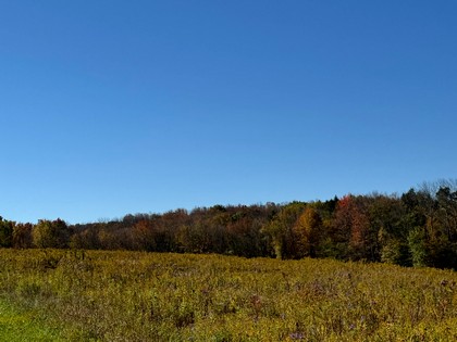 NY Southern Tier land for sale