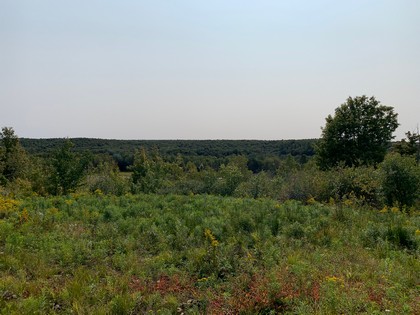 NY land with views Osceola NY