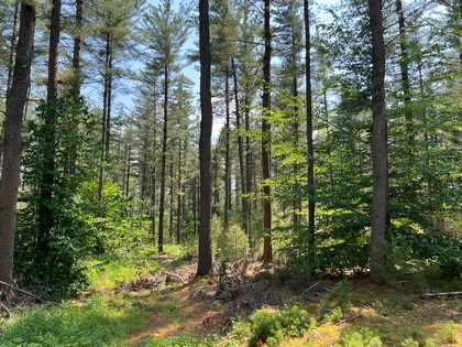 Adirondack land for sale