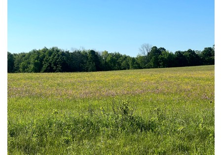 NY Southern Tier land for sale