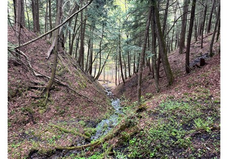 NY hunting land for sale