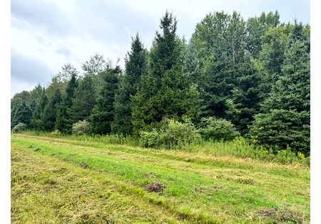 NY hunting land for sale