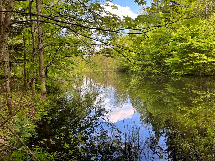NY land and camps for sale