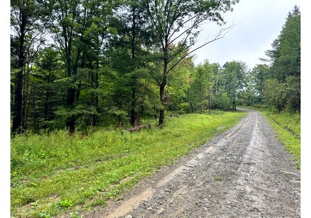 Finger lakes NY land for sale