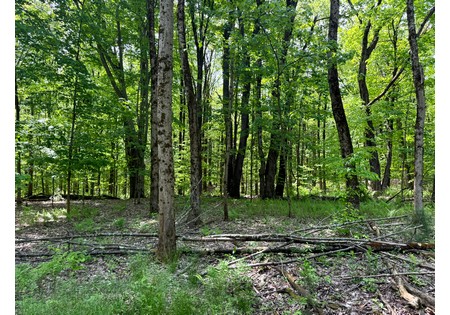 Upstate NY land for sale