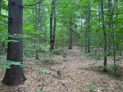Adirondack land for sale