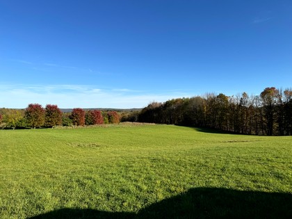 Chenango county NY land for sale