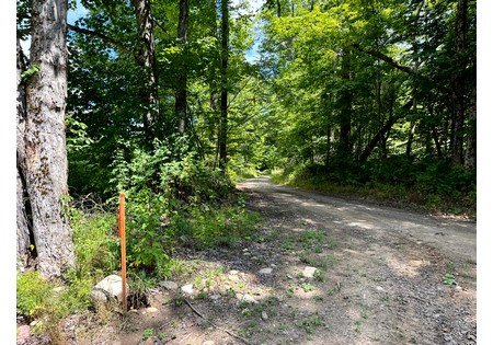 NY land for sale