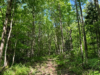 NY hunting land for sale