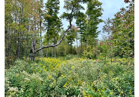 NY hunting land for sale