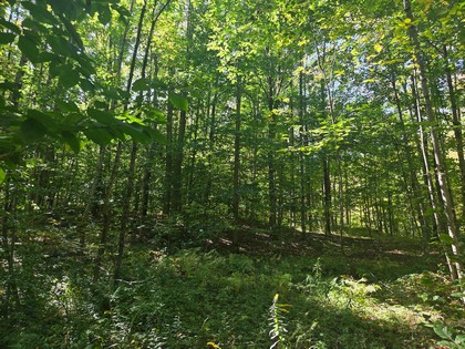 Adirondack NY land for sale