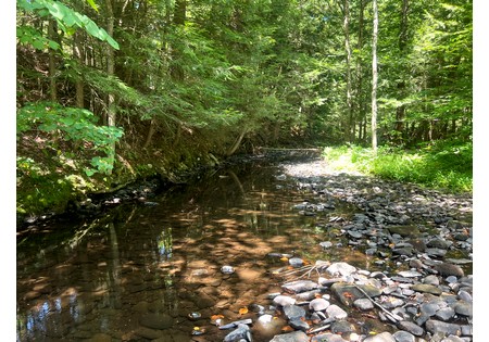 NY hunting land for sale