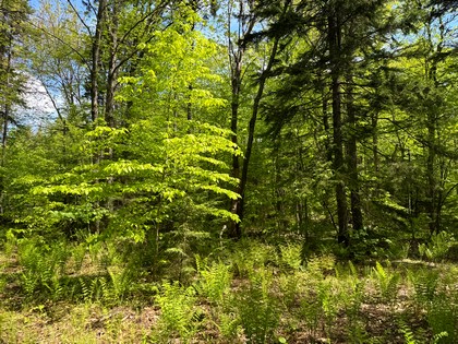 NY land and camps for sale