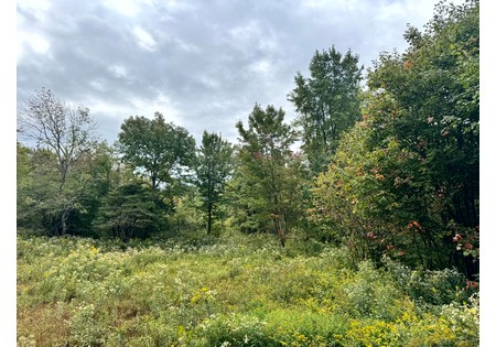 Tug Hill NY land for sale