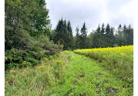 NY Finger Lakes property for sale