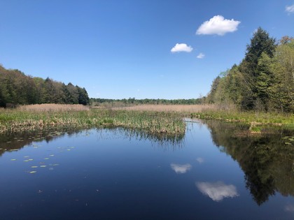 NY waterfront land for sale in Amboy NY