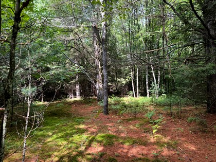 Adirondack land for sale
