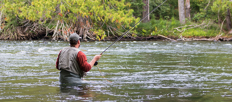 NY Land for Sale near the Salmon River from Land and Camps