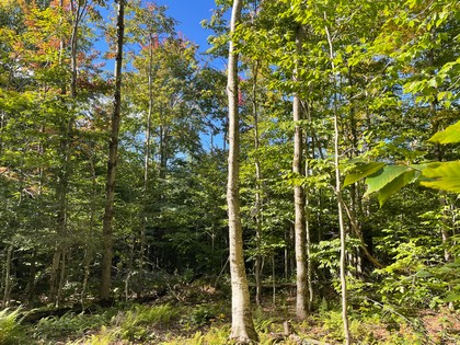 NY land for sale near Adirondacks