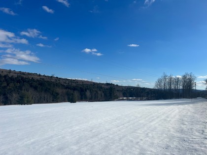 Catskills NY land for sale