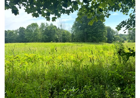 Salmon River NY land for sale