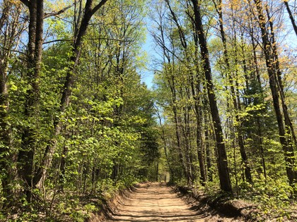 Western Adirondacks - NY camp for sale on 10 acres