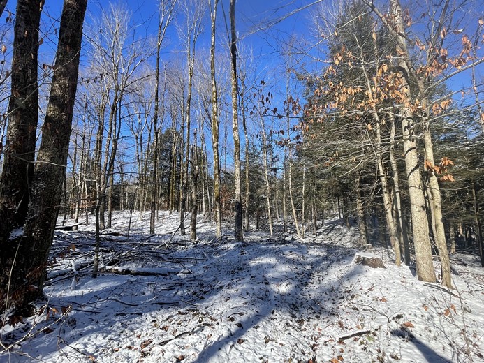 Land For Sale In Nyc
