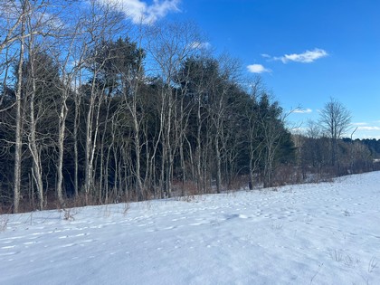 Catskill NY land for sale