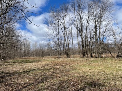 NY land for sale near Salmon River area