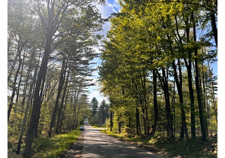 Land for sale in Tug Hill NY