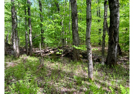 Land for sale NY