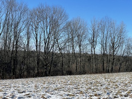 NY hunting land for sale