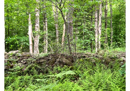 Camps for sale Williamstown NY