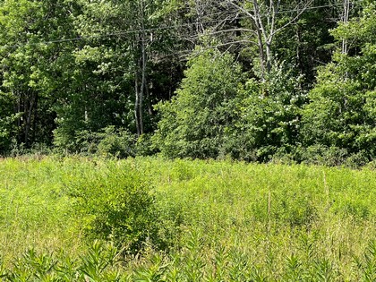 Southern Tier NY land for sale