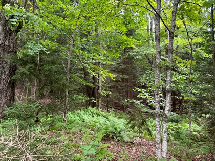 NY log cabin for sale