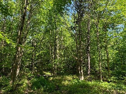 NY waterfront land for sale