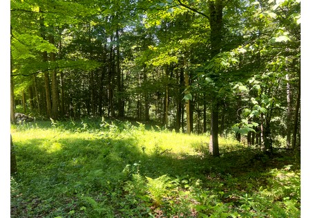 NY camps for sale