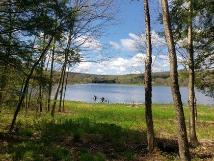 NY lakefront land for sale in Marathon NY
